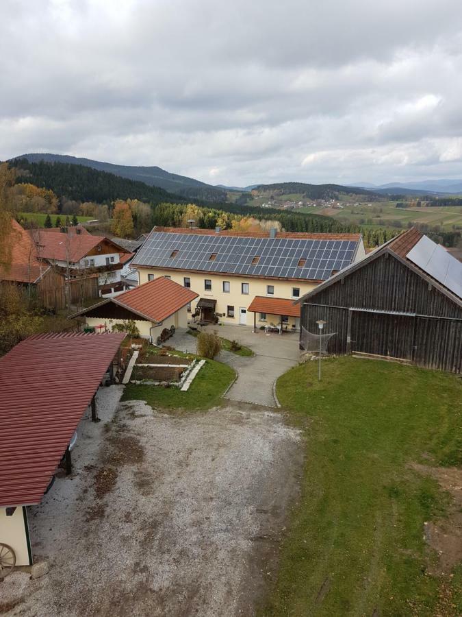 Gut Steinhuegel Apartment Bischofsmais Luaran gambar